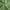 Sage, variant on Split King Sheets Sets for Adjustable Bed - 800-Thread-Count 100% Egyptian Cotton, Sateen Weave 12-Inch Deep Pockets 800-TC Bedsheet - Sage