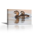 thumbnail image 1 of Pied-billed Grebe pair in breeding plumage, Island Lake Recreation Area, Michigan - Contemporary Fine Art Giclee on Canvas Gallery Wrap - wall décor - Art painting - 27 x 18 Inch - Ready to Hang, 1 of 2