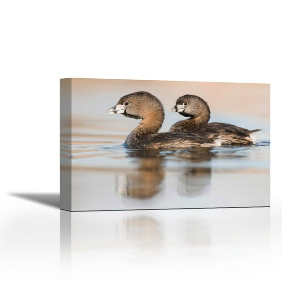 Pied-billed Grebe pair in breeding plumage, Island Lake Recreation Area, Michigan - Contemporary Fine Art Giclee on Canvas Gallery Wrap - wall décor - Art painting - 27 x 18 Inch - Ready to Hang