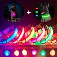 thumbnail image 2 of Typpkmm USB Charging Glowing Dog Collar with Pendant Detachable LED Light, 2 of 7