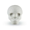 thumbnail image 2 of SUGAR SKULL SHAKER GLOW IN THE DARK, 2 of 2