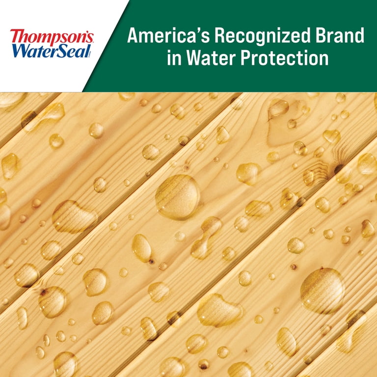 Thompson's WaterSeal Clear Wood Sealer, 1 Gallon photo 7