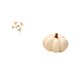 thumbnail image 5 of Arte de pared de pájaros de madera,Pájaros de madera para decorar la pared,regalos para el hogar,Almohadas de calabaza de Halloween,Almohadas de calabaza de Halloween Decoración del hogar, 5 of 8