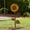 Yellow, variant on Daisy Metal Decorative Garden Stakes,Rustic Metal Flower Garden Stake Decorations for Yard Art A Rusted Stake Silhouette Yard Outside Decor for Backyard Patio Outdoor Decor