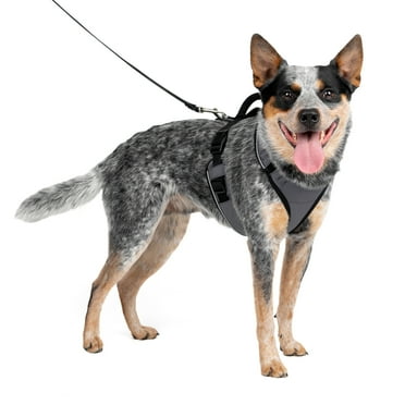 PetSafe EasySport Dog Harness, Adjustable, Padded with Handle, Reflective, Medium, Gray