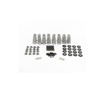 BTR BTR-SK013/0560/BB/TS LT1 Conical Valve Spring Kit W Valve Tip