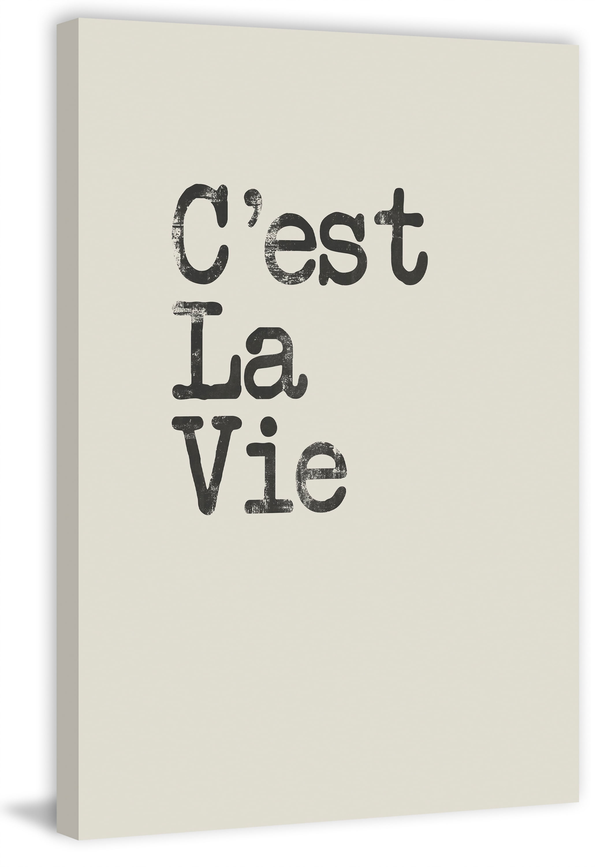C'est La Vie II Painting Print on Wrapped Canvas