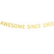thumbnail image 1 of Awesome Since 1969 Banner Preencordado Happy 55Th Birthday Banner Dorado Brillante 55 Cincuenta Y Cinco Años Decoraciones De Fiesta De Cumpleaños Para Hombres Y Mujeres, 1 of 5
