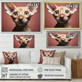 thumbnail image 4 of Designart "Peterbald Playfulness Cat Portrait" Animals Cat Floater Framed Wall Decor, 4 of 5