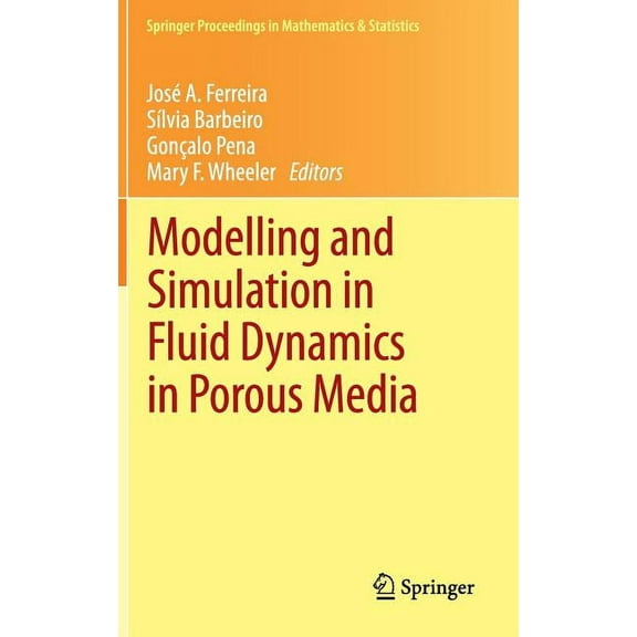 Springer Proceedings in Mathematics & St Modelling and Simulation in Fluid Dynamics in Porous Media, Book 28, (Hardcover)