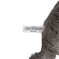 thumbnail image 5 of GiGwi 12" Squeaker with Rope Cozy Donkey Dog Toy, 5 of 5