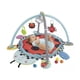 thumbnail image 3 of Gimnasio 2 en 1 AEIOU Pelotas Divertidas Catarina, 3 of 3
