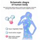 thumbnail image 5 of Generador de agua de hidrógeno de 1500 ml, botella de agua de hidrógeno a prueba de caídas de gran capacidad, máquina de agua de hidrógeno portátil, botella de agua deportiva Akmoler, 5 of 8