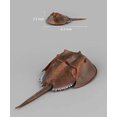 thumbnail image 3 of Simulated Sea Life Animals Figurines Realistic Sea Creature Model Plastic Ocean Animals Action Figure for Collection Science Educational (Horseshoe Crab), 3 of 4