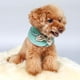 thumbnail image 5 of 1 Uds. De capa para perros y gatos, chal cálido para otoño e invierno, ropa decorativa para fiestas y festivales Verde-M jinwen Ropa suave cálida de invierno, 5 of 8