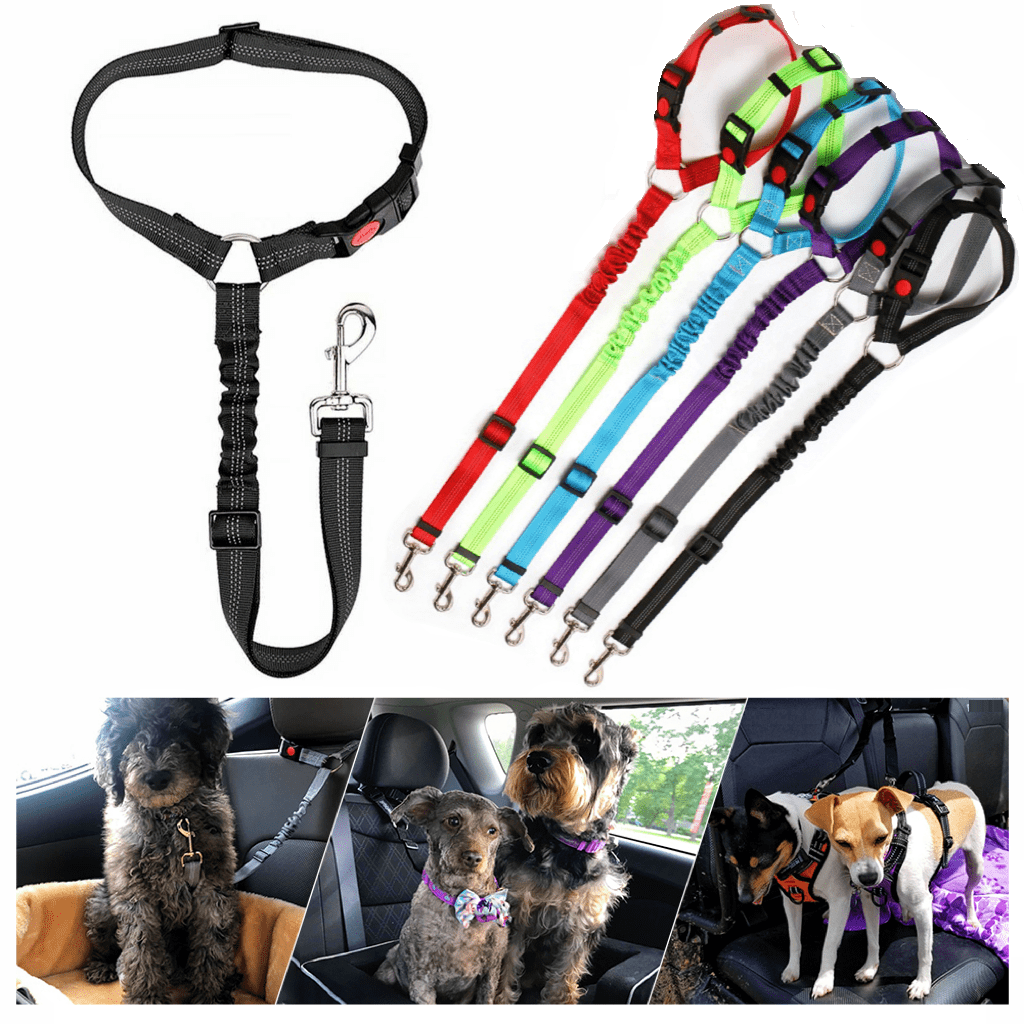 2in1 Dog Seat Belt Harness with Bungee, 7Color Dog Cat Safety Seat