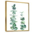 thumbnail image 3 of Designart 'Green Eucalyptus Branch' Tropical Framed Canvas Wall Art Print, 3 of 5