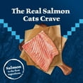 thumbnail image 3 of Blue Buffalo Wilderness Natural Adult Dry Cat Food, High-Protein, Salmon, 5-lb. Bag, 3 of 11