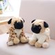 thumbnail image 5 of Worallymy peluche encantador cachorro mascota juguetes animales de peluche juguetes niños cumpleaños regalos de navidad Worallymy JD735800142, 5 of 7