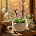 thumbnail image 6 of Halloween Witch Legs Plant Pot Decorations – 2-Pack Floral Planter for Indoor Outdoor, Orange, 6 of 6