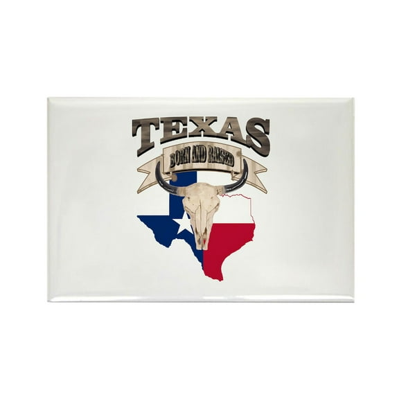 CafePress - Bull Skull Texas Home Magnets - Rectangle Magnet, 2"x3" Refrigerator Magnet