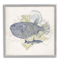 Stupell Industries Aquatic Sea Life Rustic Seashell Layered Fish Graphic Art Gray Framed Art Print Wall Art, Design by Victoria Barnes