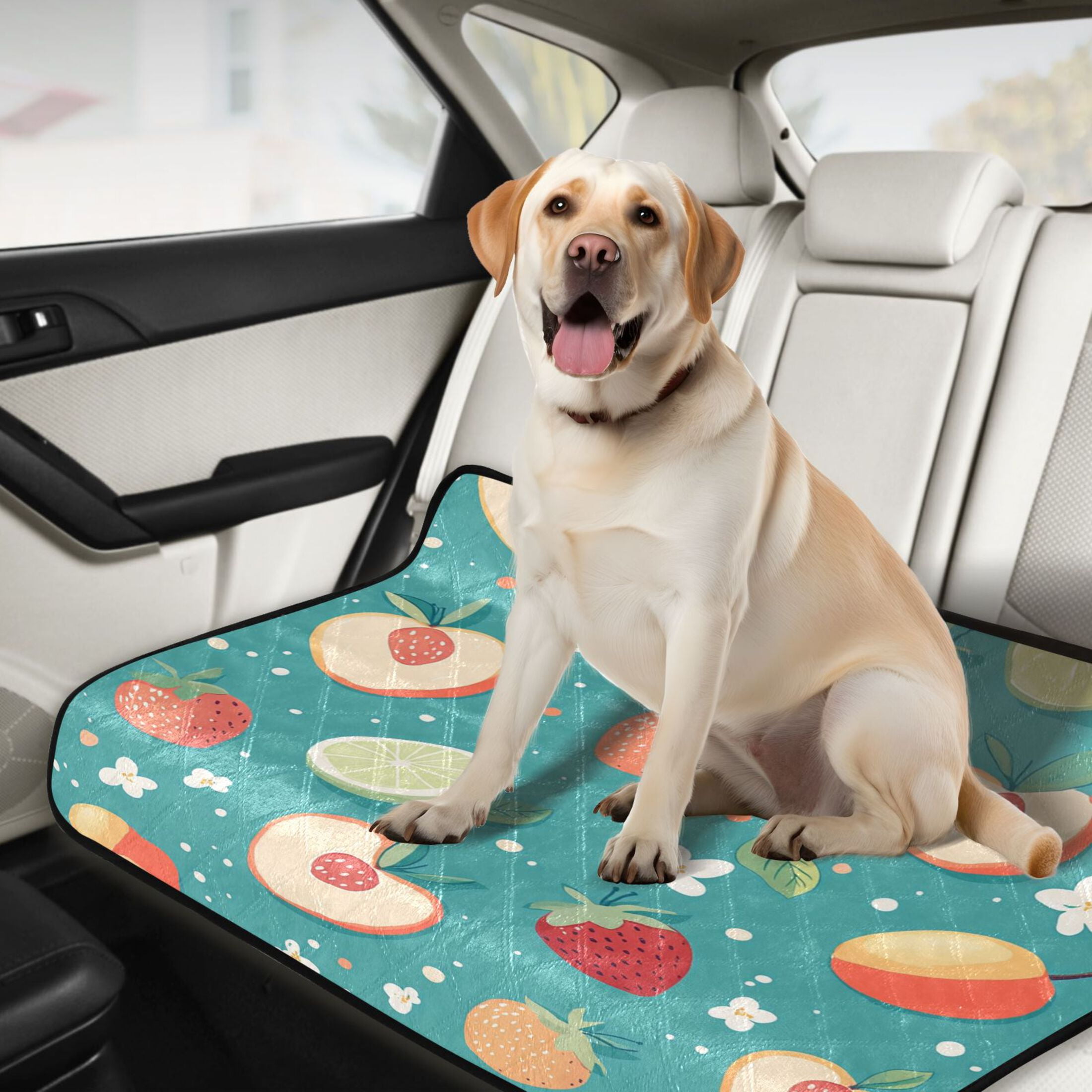 Qxltty Peaches and Strawberries in A Repeating Pattern Cat litter Pads Pet Set of 3 Diaper Mats Center Anti-leakage Layer Absorbent Soft and Comfortable