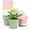 Colorful, variant on 4 inch Small Plastic Nursery Pots, 16 Pack Plant Pots for Indoor Outdoor Plants, Flower Pots with Drainage Holes and Saucers, Decorative Seedling Starter Planters for House Plants, Green