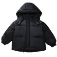 thumbnail image 2 of Favoffer Boys Girls Velvet Down Jacket Winter Warm Hooded Solid Color Long Sleeve with Pockets Thickened Outerwear for Daily/Party/Holiday Toddler 2-13Y, 2 of 3