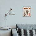 thumbnail image 3 of Stupell Industries Coastal Antique Spiral Sea Shells Black Framed Giclee Art, 11 x 14, by G.W. Knorr, 3 of 7