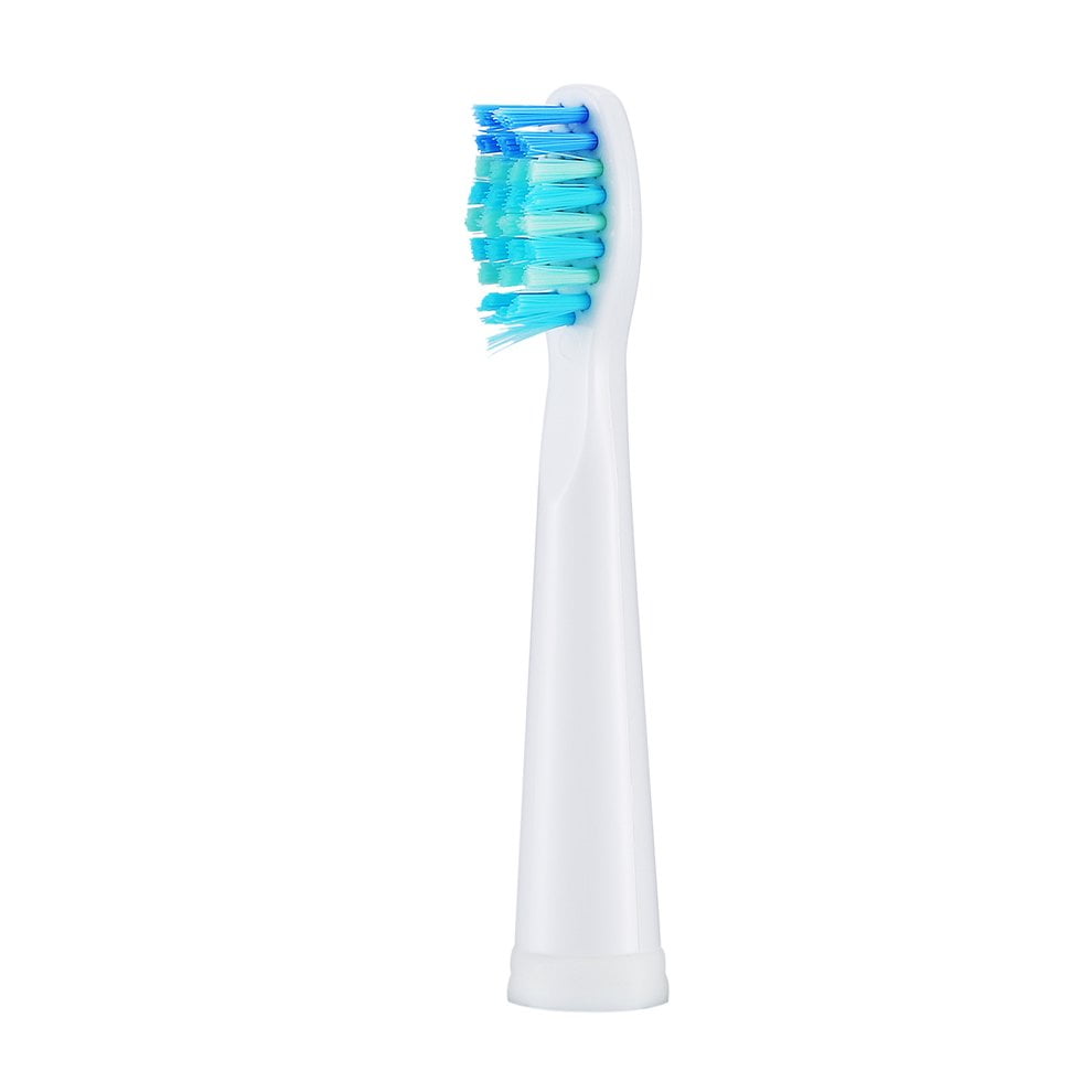 seago toothbrush heads