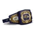thumbnail image 3 of IGLOO  Baltimore Ravens WWE Legacy Belt Cooler, 3 of 7