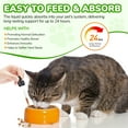 thumbnail image 5 of Petpya 2PCS Cat Laxative - Constipation Relief for Cats -Liquid Herbal Supplements for Cats - Cat Stool Softener, Natural safety Formula,Promotes Digestive Health,Cat Constipation Relief - 2 fl oz, 5 of 10