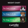 CAPSTAR Pills FastActing Oral Flea Medication for Large Dogs (over