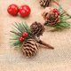 thumbnail image 5 of 20 piezas púas de bayas rojas de Navidad, rama de acebo Artificial con piñas y bayas rojas, púas florales para vacaciones de invierno, 5 of 5