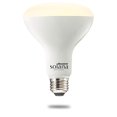 thumbnail image 1 of Bulbrite BR30 Ceiling Solana 2-Pack WiFi Connected Edison Filament LED Smart Light Bulb, Single-BR30, Frost, 1 of 1