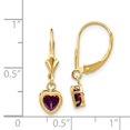 thumbnail image 2 of Auriga Fine Jewelry 14K Yellow Gold Heart Rhodolite Garnet Dangle Earrings for Women (L- 0.91inch, W- 0.24inch), 2 of 6