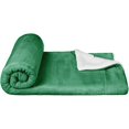 thumbnail image 3 of Kids Ultra-Soft Micromink Sherpa Blanket - Throw, Grass Green, 3 of 6