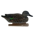 thumbnail image 6 of AVIAN-X Topflight Green-Winged Teal Durable Ultra Realistic Floating Hunting Duck Decoys, Pack of 6, AVX8081, 6 of 13