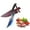 white, variant on Feather Knife Gift Knife Fruit Knife Outdoor Wilderness Survival Knife, Fish Fillet Knife, High Carbon Stainless Steel Flexible Narrow Blade, Non Slip Handle, for Outdoor Enthusiasts, Hunting,Camping