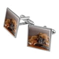 thumbnail image 1 of Boxer Puppy Dog Sleeping on Guitar Square Cufflink Set - Silver or Gold, 1 of 6