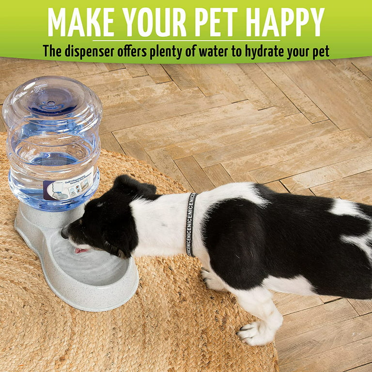 Do You Have a Community Water Bowl at Your Pet Business? 