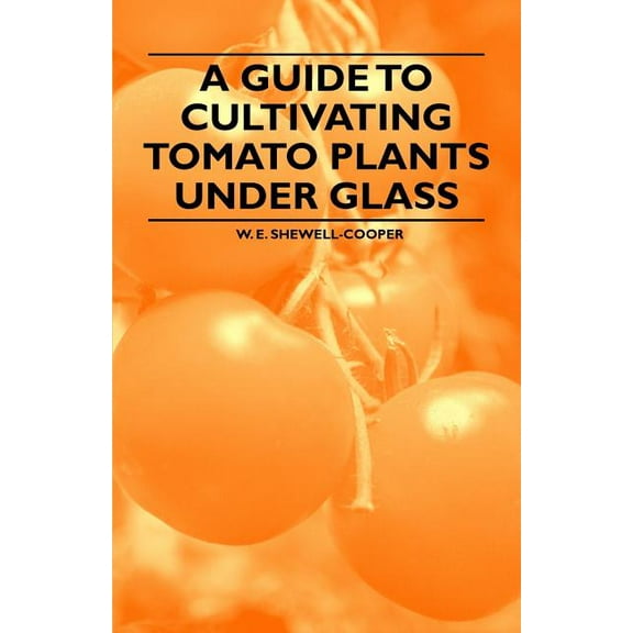 A Guide to Cultivating Tomato Plants Under Glass, (Paperback)