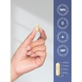 thumbnail image 7 of Brain Support Supplement | 120 Capsules | Vegetarian Formula for Men and Women | by Horbaach, 7 of 7
