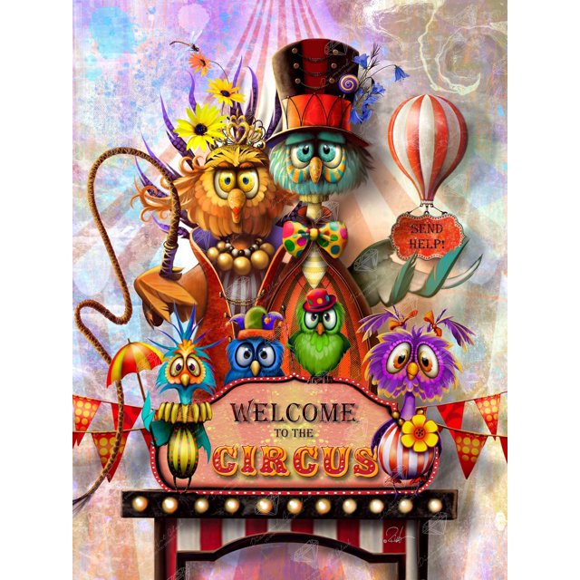 30x40cm Adultos Niños 5d Diy Diamond Art Painting Set - Circo De Pájaros, Manualidades De Bordado De Diamantes Completos, Juego De Pintura De Diamantes De Imitación De Cristal De Lienzo, Traje
