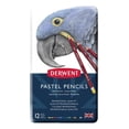 thumbnail image 2 of Lápices Pastel Estuche Metal Con 12 Piezas Derwent multicolor SIN TAMAÑO, 2 of 3