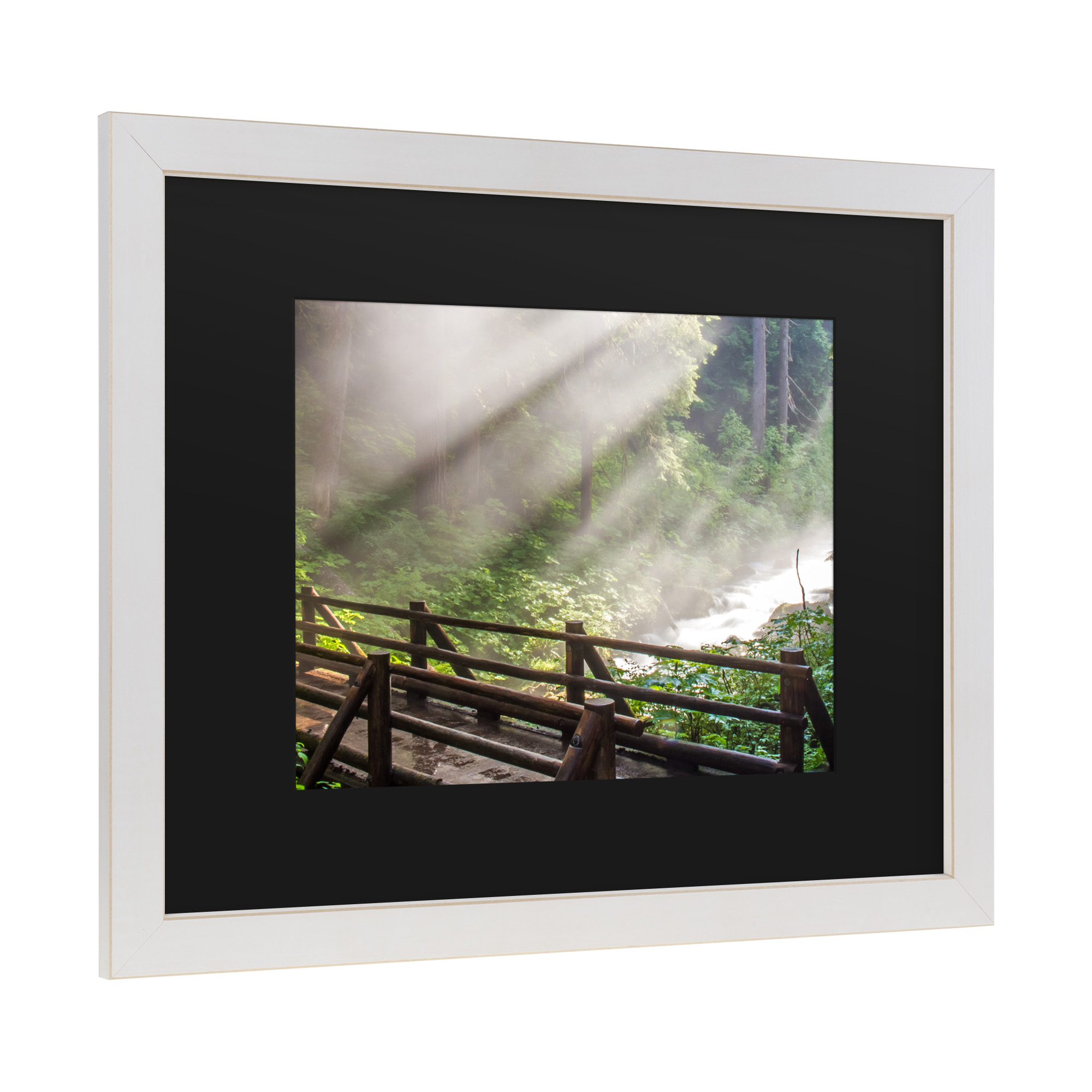 Trademark Fine Art 'Forest Sunlight' Canvas Art by Pierre Leclerc