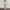 02&Beige, variant on Babysbule Jumpsuit for Women Women Short Sleeve Playsuit Clubwear Straight Leg Jumpsuit With Belt