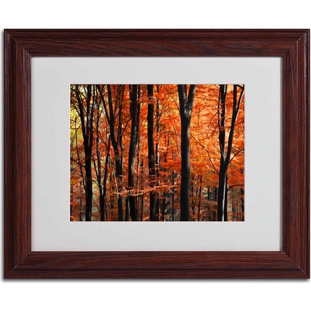 Trademark Fine Art "Indisputable Truth" Canvas Art by Philippe Sainte-Laudy, Wood Frame