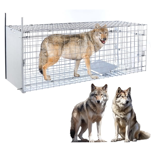 Trampa grande de animales vivos, jaula plegable de 57 pulgadas, trampa para perros grandes hasta 55 libras, zorros, coyotes, bobcat, animales de tamañ
